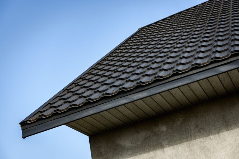 Metal Fascia Repair in Alpharetta, GA
