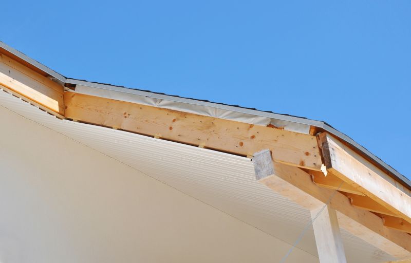 Rotted Fascia Repair in Alpharetta, GA